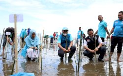 Bupati Sinjai: Terima Kasih Gelora Bantu Hijaukan Sinjai