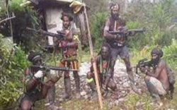 Panglima TNI Jelaskan Alasan Kembali Sebut OPM ke KKB Papua