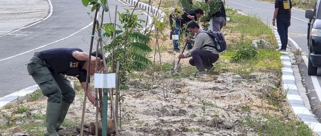 Dinas Kehutanan Sulsel melakukan penghijauan di jalan menuju Bandara Buntu Kunik, Kabupaten Tana Toraja.