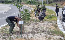 Hingga Desember 2021, Dishut Sulsel Sudah Tanam 5.000 Bibit Pohon di Jalan Menuju Bandara Buntu Kunik