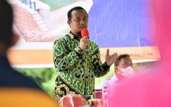 Aksi Setop Stunting, Plt Gubernur Sulsel Akan Lakukan Intervensi di 240 Desa