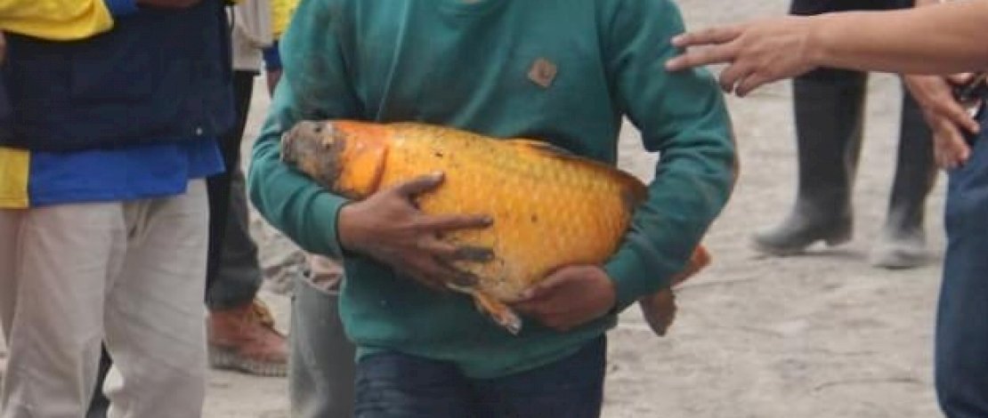 (Foto/IG @khofifah ip)