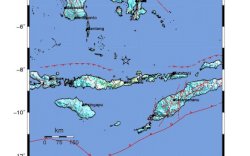 Rasakan Getaran, Warga di Gowa Berhamburan