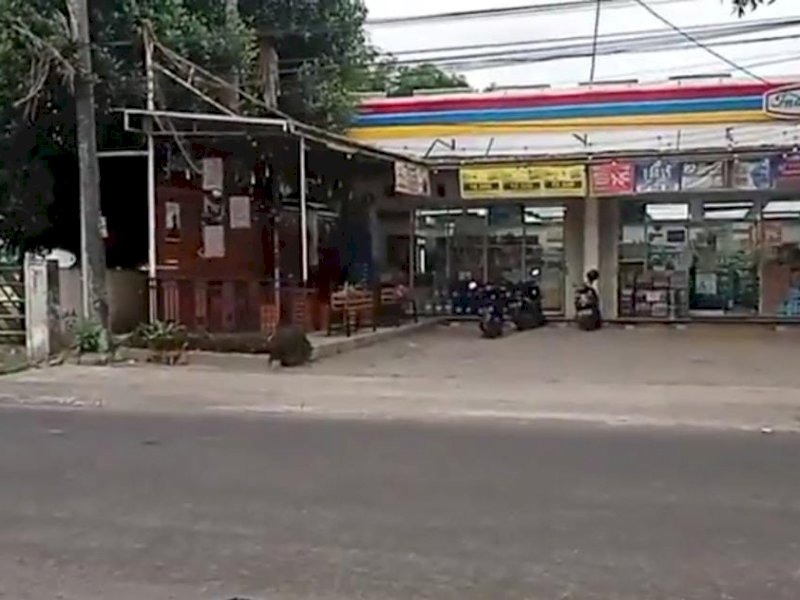 Buronan Teroris Sempat Dikira Pengedar Narkoba Saat Ditangkap, Warga: Ada tembakan satukali
