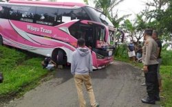 Niat Wisata ke Pantai, Bus Ini Justru Seruduk Gang Sempit Akibat Arahan Google Maps 