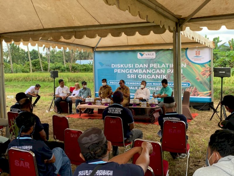 Vale Indonesia Kenalkan Program SRI Organik ke Petani Blok Pomalaa