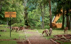 Vale Indonesia Raih PROPER Hijau dari KLHK 