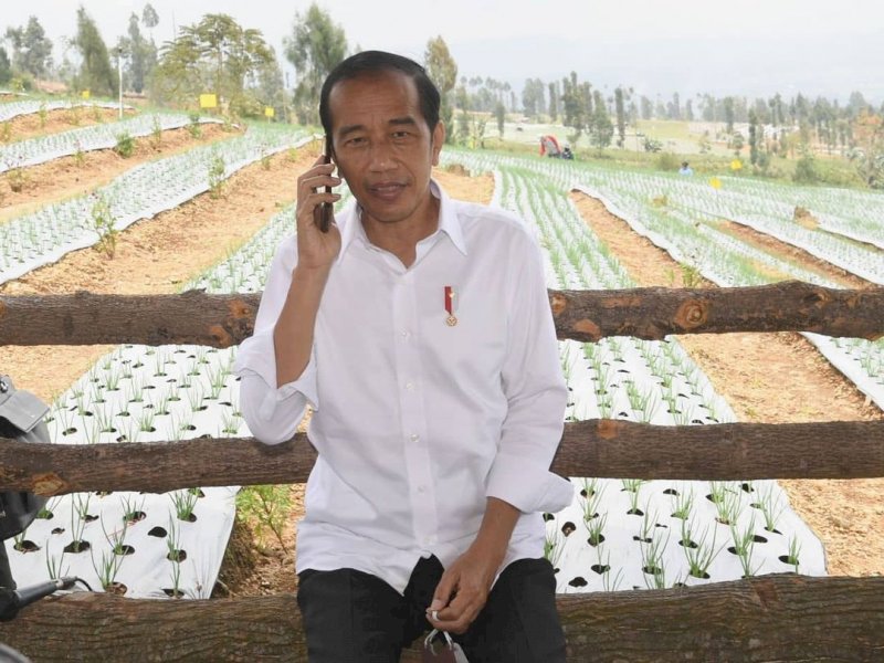 Dari Ucapan Selamat-Perintah Langsung Presiden Jokowi Kepada Shin Tae Yong 