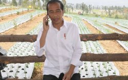 Dari Ucapan Selamat-Perintah Langsung Presiden Jokowi Kepada Shin Tae Yong 