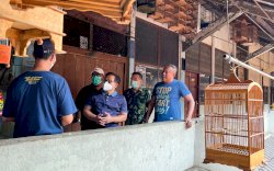 Punya Potensi Wisata, Gus Muhaimin Dorong Pemerintah Serius Perhatikan Pasar Burung