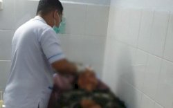 Dua Kelompok Pemuda Tawuran, IRT di Palopo Terkena Lemparan Batu