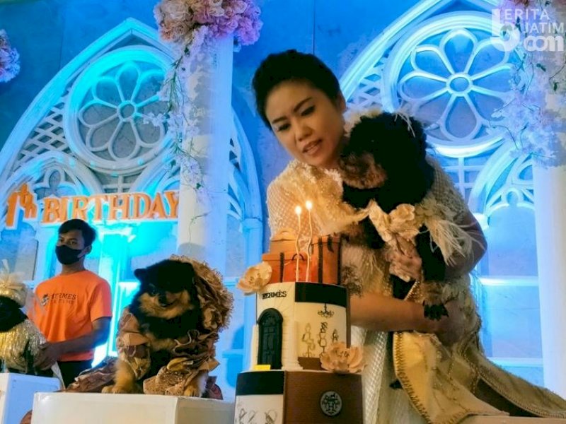 Bertemakan Glamor Elegan, Perayaan Ulang Tahun Seekor Anjing di Surabaya Habiskan Uang Ratusan Juta Rupiah