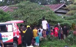 Perbaiki Perangkap Babi, Warga Palopo Meninggal Tersengat Listrik