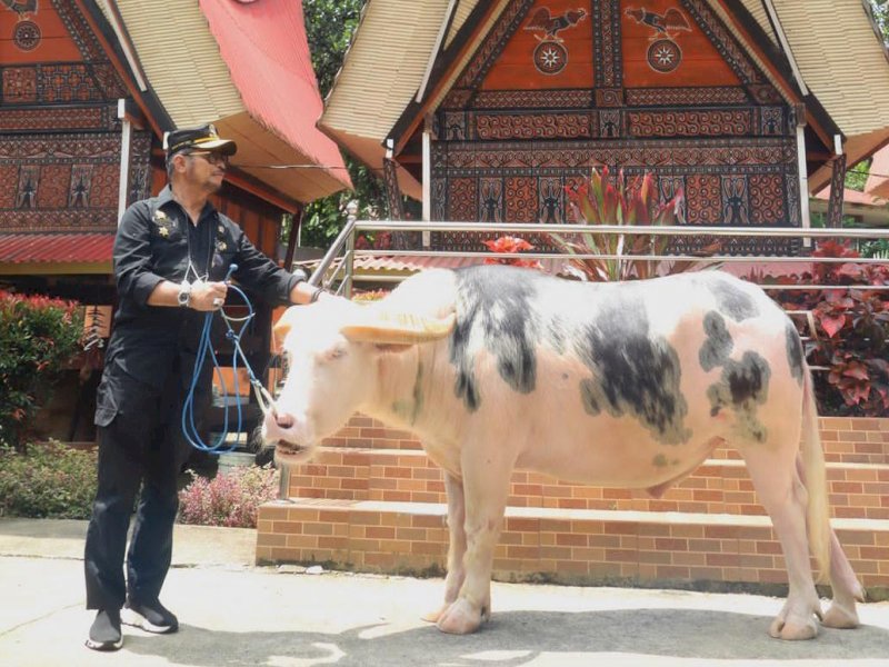 Mentan SYL: Toraja Adalah Aset Dunia