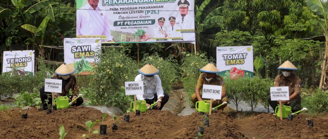 Menteri Pertanian Syahrul Yasin Limpo, saat menghadiri launching Pekarangan Emas di Tanete Riattang Barat, Senin, 7 Februari 2022.