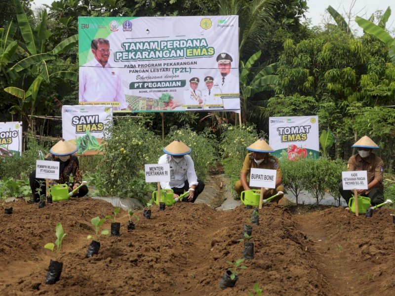 SYL Ajak Masyarakat Bone Manfaatkan Pekarangan Rumahnya Jadi Lahan Produktif