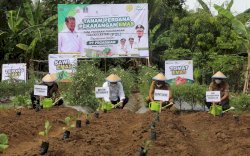 SYL Ajak Masyarakat Bone Manfaatkan Pekarangan Rumahnya Jadi Lahan Produktif