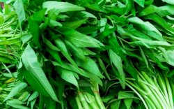 Kangkung Bisa Bikin Kulit Bercahaya dan Awet Muda, Begini Caranya ! 