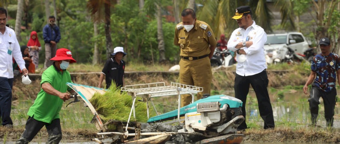 Menteri Pertanian Syahrul Yasin Limpo dalam kegiatan penanaman padi IP 400 di Bone, Senin, 7 Februari 2022. Menteri Pertanian Syahrul Yasin Limpo dalam kegiatan penanaman padi IP 400 di Bone, Senin, 7 Februari 2022.