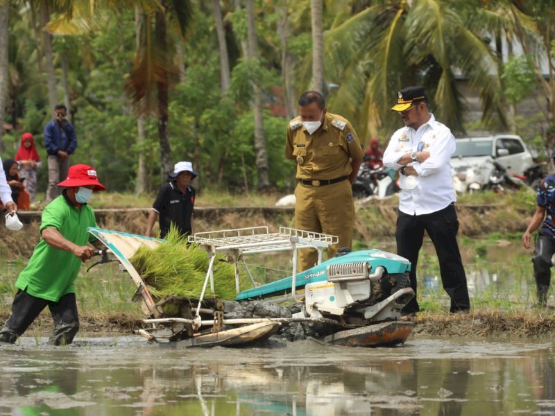 Mentan SYL Dorong Petani Bone Tingkatkan Produksi Padi Dengan IP 400