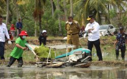 Mentan SYL Dorong Petani Bone Tingkatkan Produksi Padi Dengan IP 400