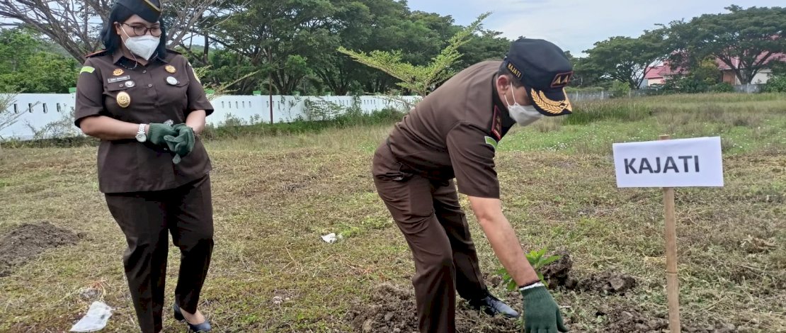 Kajati Sulsel, Raden Febriyanto, saat menanam pohon di halaman Kantor Kejari Luwu, Selasa, 8 Februari 2022. Kajati Sulsel, Raden Febriyanto, saat menanam pohon di halaman Kantor Kejari Luwu, Selasa, 8 Februari 2022.