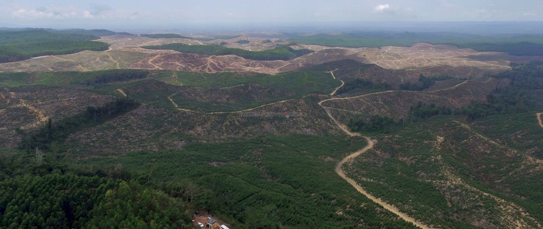 Penajam Paser Utara, Kalimantan Timur menjadi lokasi Pembangunan IKN Nusantara/Ist