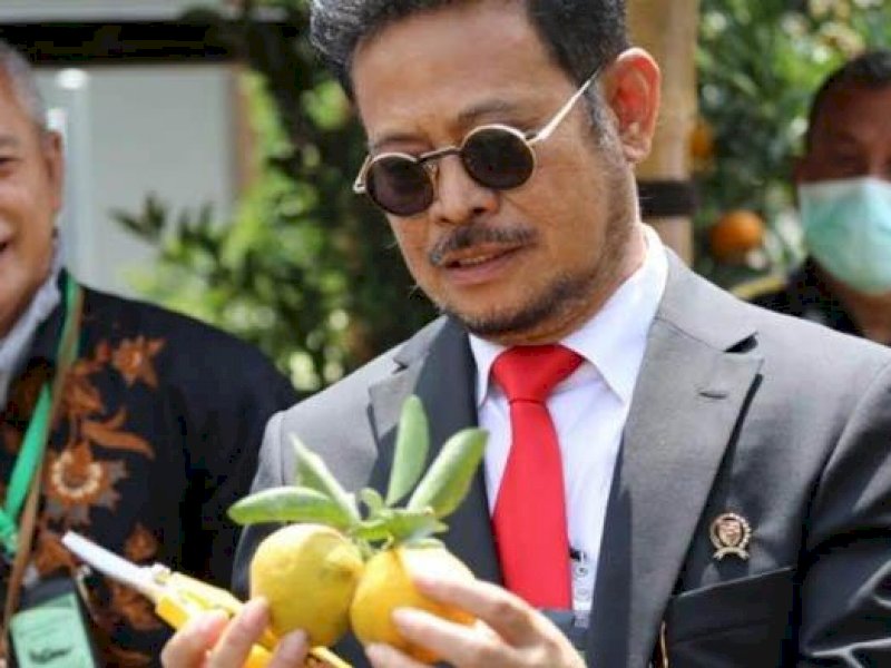 Potensi Daysindo Agrihorti Dorong Pengembangan Komoditas Jeruk Indonesia