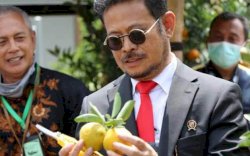 Potensi Daysindo Agrihorti Dorong Pengembangan Komoditas Jeruk Indonesia