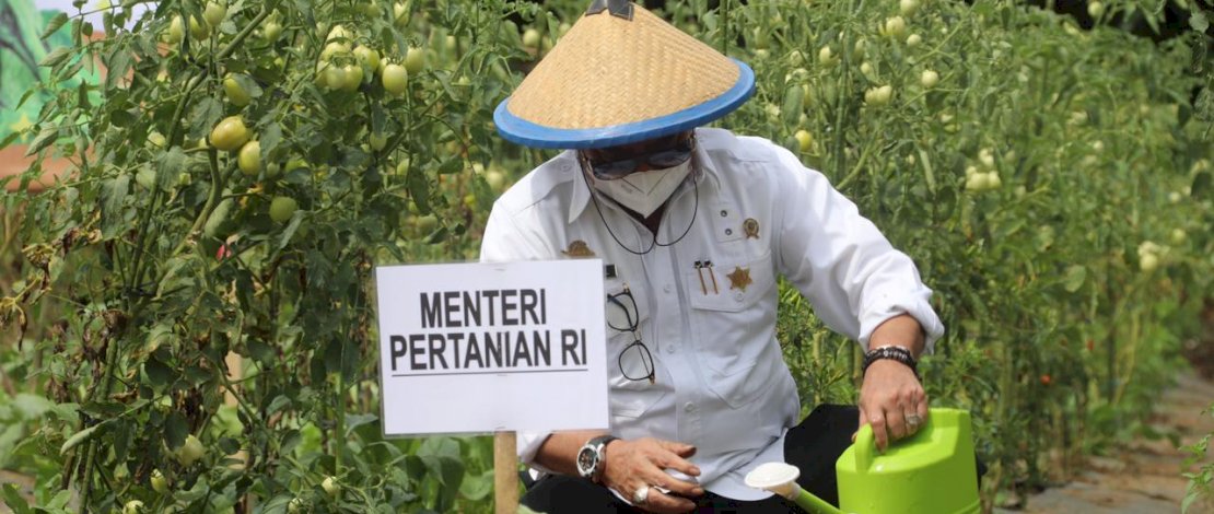 Menteri Pertanian, Syahrul Yasin Limpo (SYL)/Ist