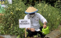 Perkuat Pertanian Berkelanjutan, Kinerja Mentan SYL Dipuji DPR