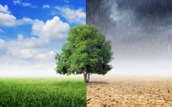 7 Tips Tetap Sehat dan Bugar Saat Musim Pancaroba