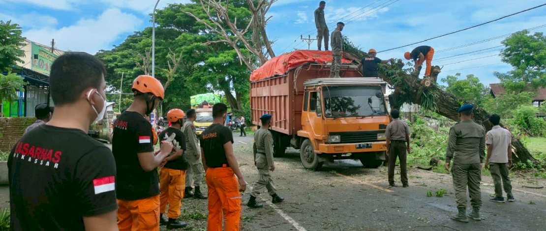 Brimob Bone Bersama SAR Gabungan Gerak Cepat Evakuasi Pohon Tumbang di Poros Bajoe