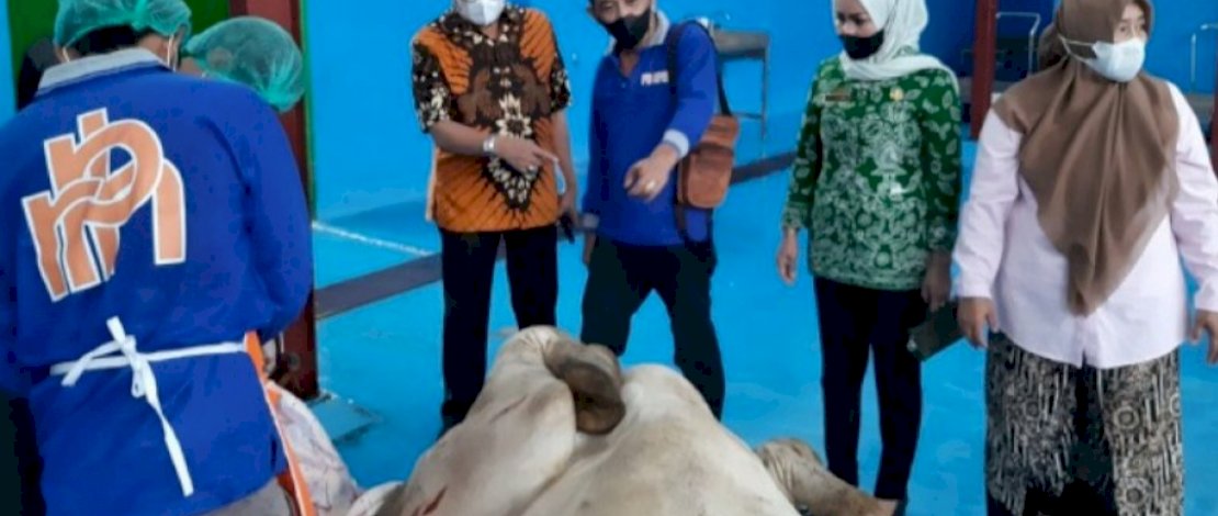 PEMOTONGAN SAPI. Penjabat Direksi PD RPH Kota Makassar, Syafrullah (ketiga kanan), pada pemotongan perdana Sapi Brahman Cross, di RPH Antang/Manggala, Kota Makassar, Jumat, 18 Februari 2022.