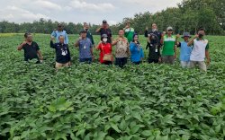 Komisi IV DPR RI Apresiasi Klinik Agro Ekspor di Karantina Pertanian Medan