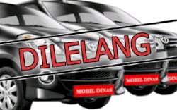 Pemda Luwu Utara Raup Rp1 Miliar Hasil Lelang Randis