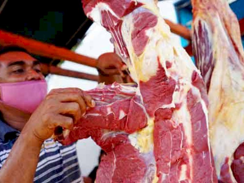 Stok Daging Aman Jelang Ramadhan dan Idul Fitri