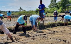 Vale Indonesia Tanam Perdana Sri Organik di Blok Pomalaa, Begini Harapan Bupati Kolaka