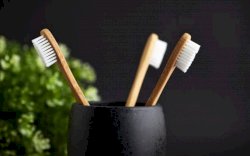 Ini Tips Merawat Sikat Gigi Agar Mulutmu Terhindar dari Kuman dan Bakteri 