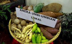 Kementan, Kemenparekraf dan Hotel Accor Grup Sinergi Gairahkan UMKM Pangan Lokal