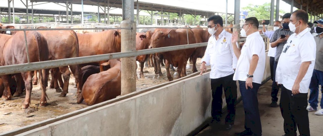 Menteri Pertanian, Syahrul Yasin Limpo (SYL), melakukan kunjungan ke peternakan sapi di wilayah Tangerang, Banten, Rabu, 2 Maret 2022.
