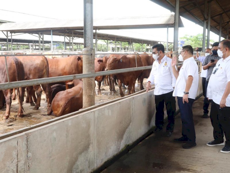Kunjungi Peternakan Sapi di Tangerang, Mentan SYL Pastikan Stok Sapi Siap Potong Aman Hingga Lebaran