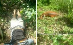 Mayat Pria Ditemukan di Kebun Bulukumba, Diduga Pencuri Sapi yang Tersengat Listrik 