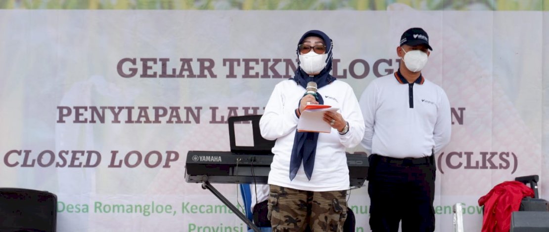 Kamsina Harap Produksi Jagung di Gowa  Semakin Meningkat