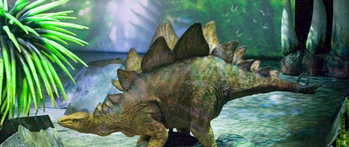 Spesies Baru dan Tertua Stegosaurus Ditemukan di Asia