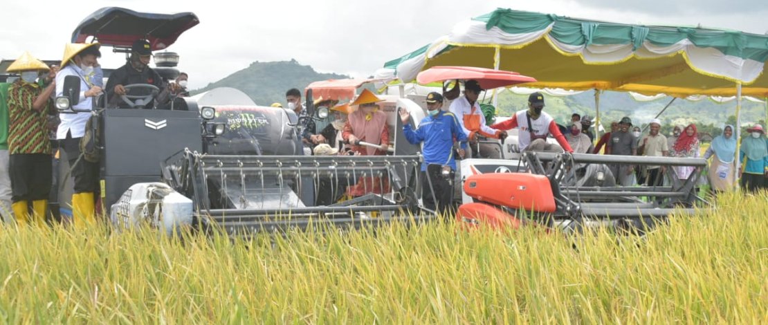 Kementerian Pertanian mencanangkan pertanaman perdana indeks pertanaman (IP) 400 atau tanam dan panen empat kali setahun di Kabupaten Bima, Nusa Tenggara Barat.