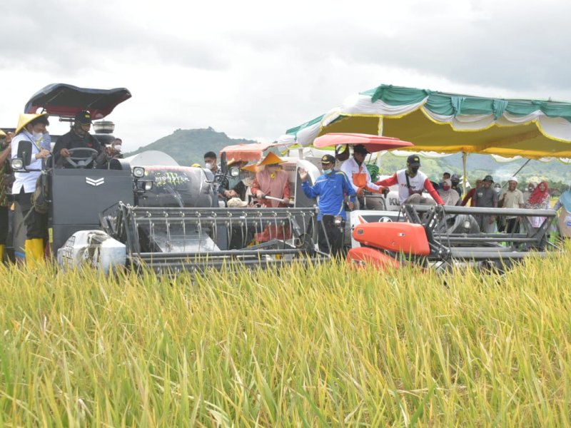 Kementan Canangkan Pertanaman Perdana IP400 di Kabupaten Bima
