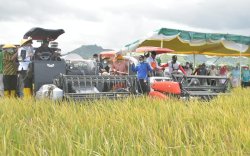 Kementan Canangkan Pertanaman Perdana IP400 di Kabupaten Bima
