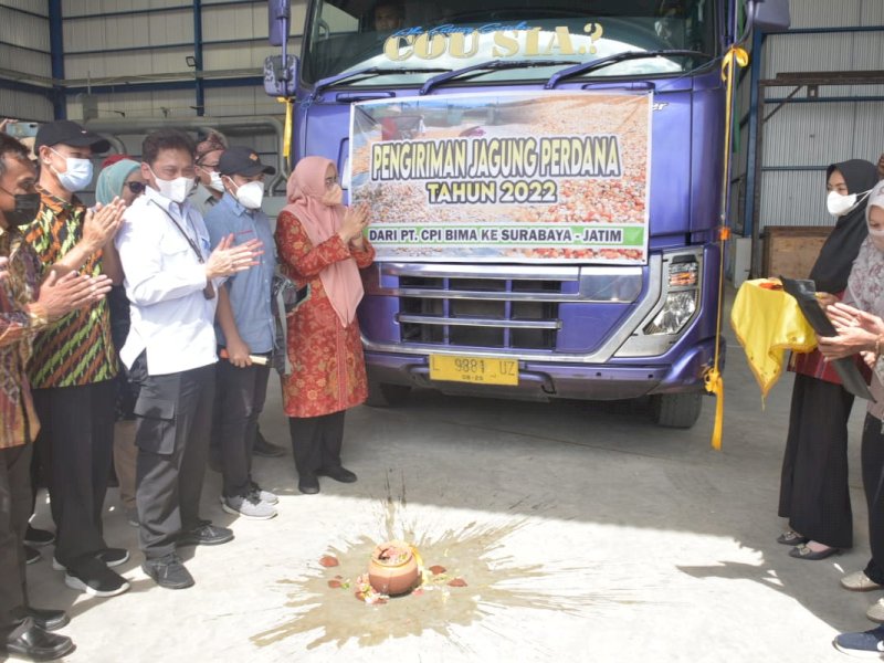Stabilisasi Harga Jagung, Kementan dan Pemda Bima Kirim Jagung ke Surabaya 2.600 Ton