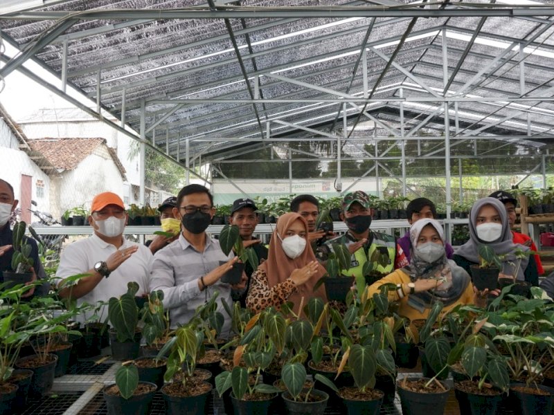 Kementan Dukung Pengembangan Green House Bojongkerta, Cikal Bakal Pemasok Tanaman Hias Ekspor